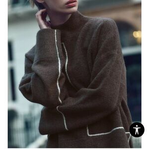 Zara Brown Sweater with White Accents
